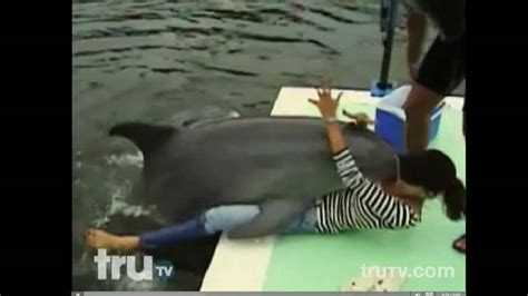 PEOPLE GET HUMPED BY DOLPHINS 